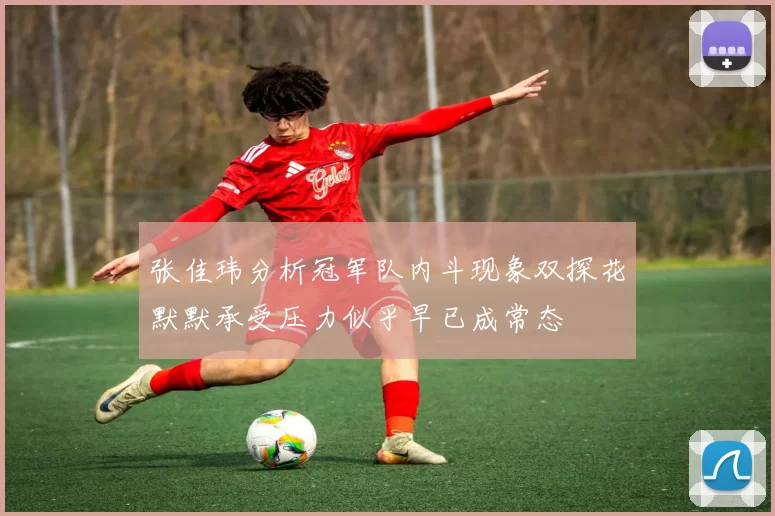 张佳玮分析冠军队内斗现象双探花默默承受压力似乎早已成常态